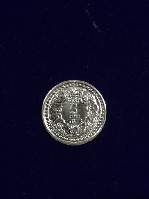 Round Coloured Silver IMG_4851