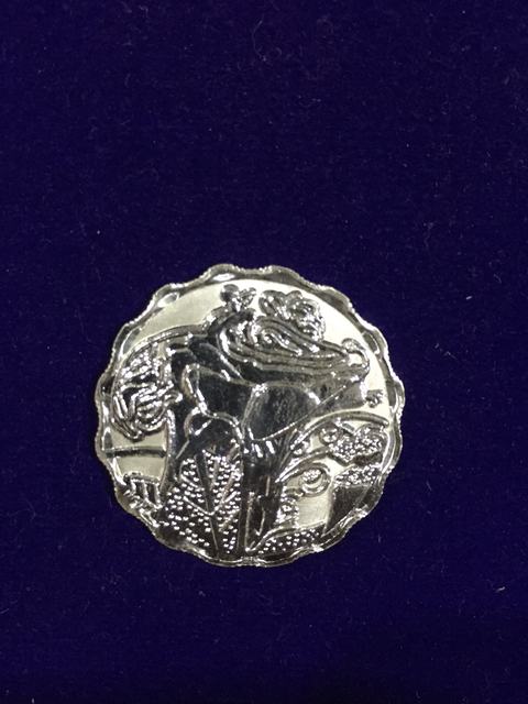 Round Coloured Silver IMG_4859